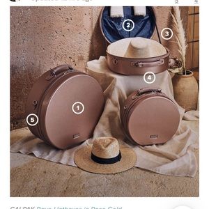 ISO Calpak Hatbox in Rose Gold